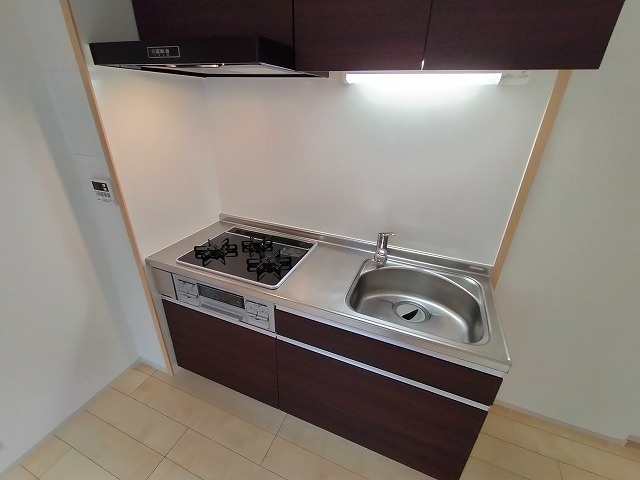 神戸市長田区二葉町７丁目の賃貸マンションのキッチン|システムキッチン（ガス3口）