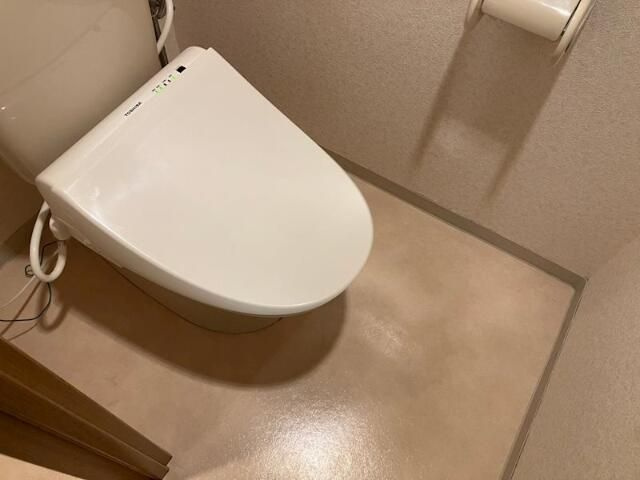 プティパレドゥのトイレ