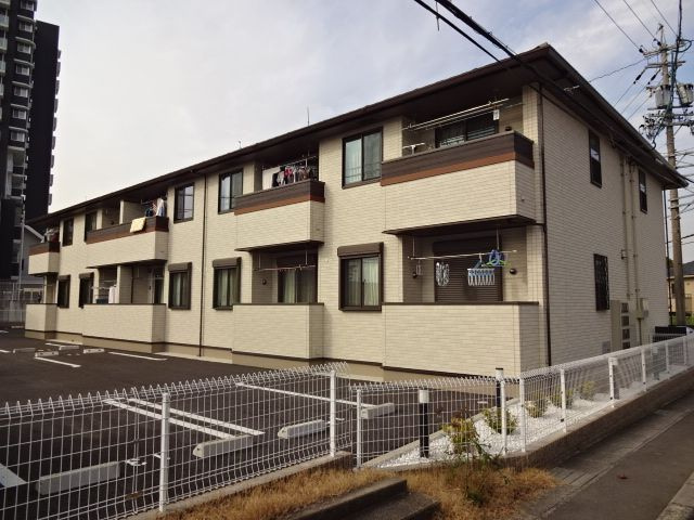 プラシードの外観