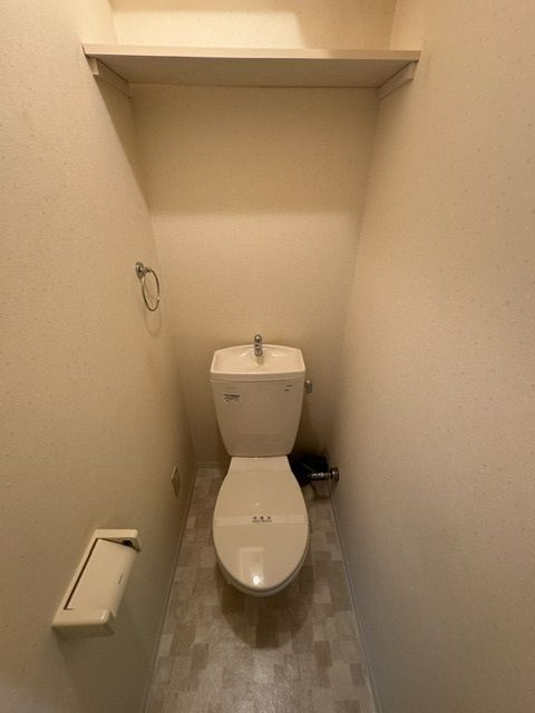 ロータリーマンション上新庄 のトイレ