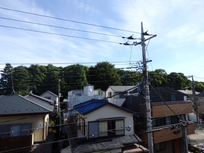 【展望】 | メゾン西永福