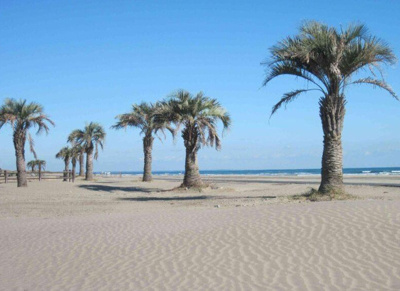 【周辺】 | 九十九里研修センター