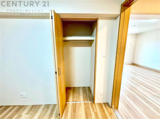 衣類やアクセサリー、小物類の収納が便利で整理整頓がしやすく、部屋の美観を保ちつつ、スペースを最大限に活用できます。衣服のしわやダメージを防ぎ、長持ちさせることができます。