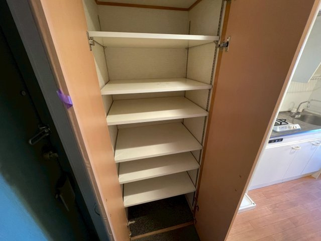 エスリード野田阪神駅前の収納