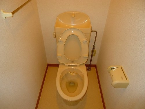 ラフィネのトイレ