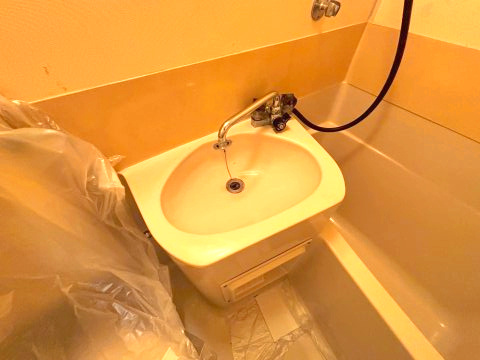 マンションファームの洗面所