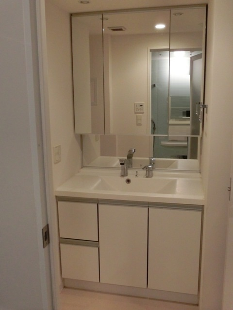 大阪市中央区安堂寺町２丁目の賃貸マンションの洗面所