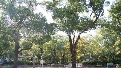 【周辺】 | グランツ築地 | 高松中央公園さんまで900m