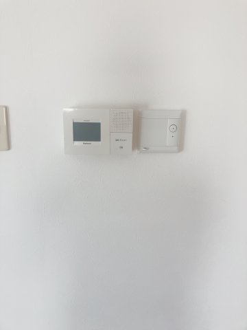 フレンズのその他