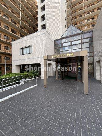 【外観】 | お気軽に「湘南シーズン」までお問い合わせくださいね♪