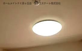 フジパレス諏訪ノ森Ⅴ番館のその他|照明付き
