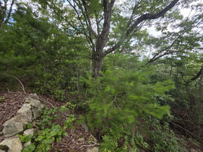 【その他】 | 播磨自然高原クラブ平家