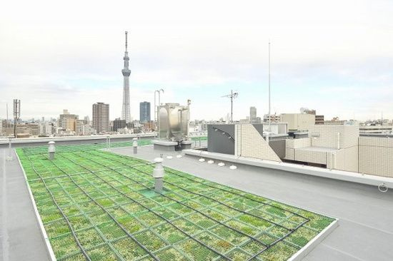 グランシアタワー亀戸