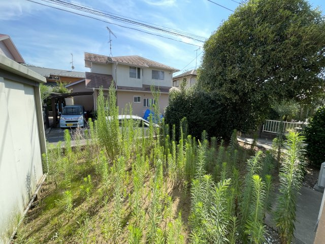 松尾町高富売り戸建ての庭