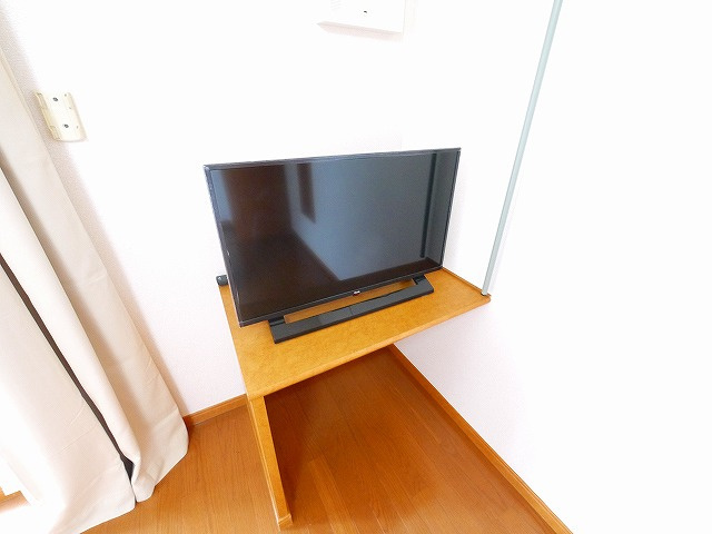 レオパレスエザーンスⅡの設備|テレビ
