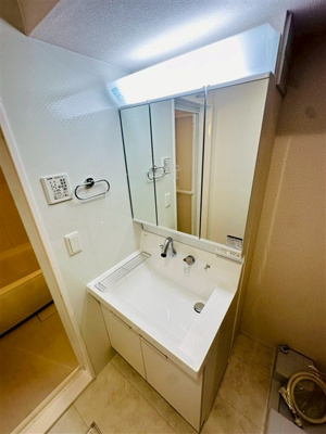 【独立洗面台】 | D Paina Hino