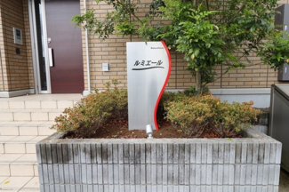  | ルミエール