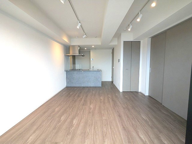 CLARITIA ASAKUSAの設備|カウンターキッチン、LDKにエアコン・スポットライト付き