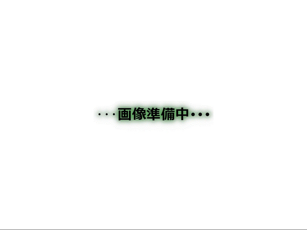ラフィーナー松戸