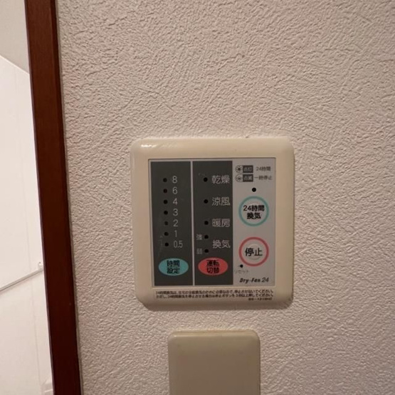 【その他】クルーズイン