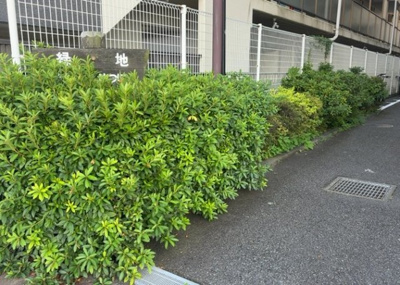 【庭】 | ライオンズマンション相模原第八 | 物件によっては、入居者が個人的に使用できる専用庭がついているものもあります。また、住宅の中にある土間の部分を庭と呼ぶこともあります。庭の用途は住む人によって変わり、それによってデザインもさまざまです。