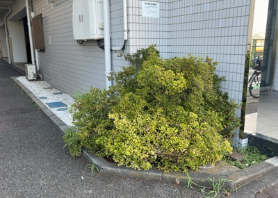 【中庭】 | ライオンズマンション相模原第八 | 中庭（パティオ）とは、一つの建築物の内部に設けられた、壁などで囲われている庭のことを指します。コの字型、ロの字型が主流ですが、L字型の中庭もあります。最近では、インテリア性の高さからも人気があります。