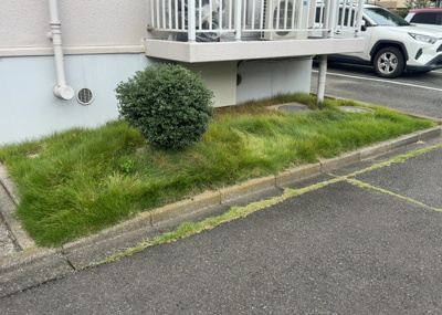 【中庭】 | エクレール第弐相模原 | 中庭（パティオ）とは、一つの建築物の内部に設けられた、壁などで囲われている庭のことを指します。コの字型、ロの字型が主流ですが、L字型の中庭もあります。最近では、インテリア性の高さからも人気があります。