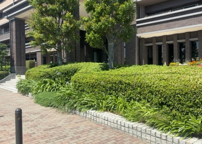 【中庭】 | ガーデンブリーズ光の街 | 中庭（パティオ）とは、一つの建築物の内部に設けられた、壁などで囲われている庭のことを指します。コの字型、ロの字型が主流ですが、L字型の中庭もあります。最近では、インテリア性の高さからも人気があります。