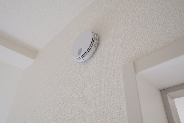 《仲介手数料無料》見沼区大字大谷1996-7(全1戸)新築一戸建てブルーミングガーデンの内装|各お部屋に火災報知器が付いています。
撮影日 2025年10月16日 11:30 曇り