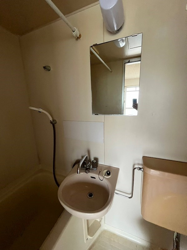 パレスヒラノの独立洗面台