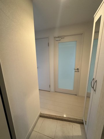 ラファセフェリーズのその他