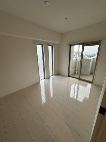 ラファセフェリーズのその他