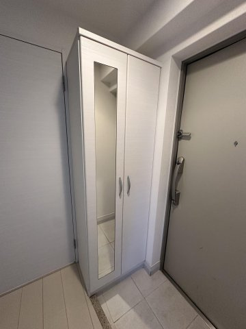 ラファセフェリーズのその他