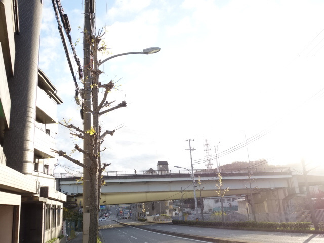 サンウィング神陽の展望