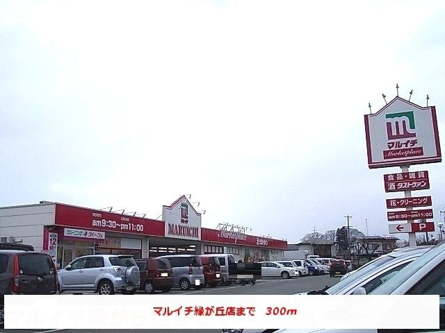ジュネスアメリアの周辺|マルイチ緑が丘店まで300m