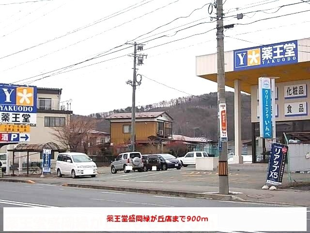 ジュネスアメリアの周辺|薬王堂盛岡緑が丘店まで900m