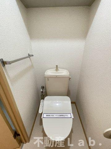 メゾンスリーゼⅢのトイレ