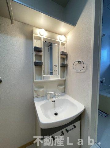 メゾンスリーゼⅢの洗面所