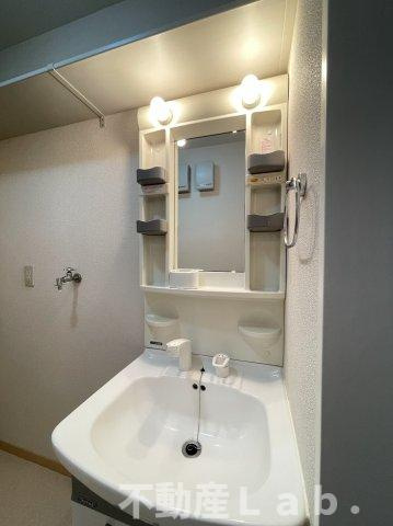 メゾンスリーゼⅢの洗面所