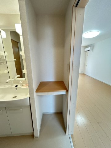 ＬＡＰＩＮＥ（ラピーヌ）Ｂの収納