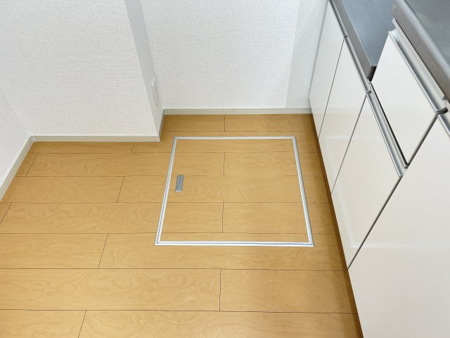 ＬＡＰＩＮＥ（ラピーヌ）Ｂの収納