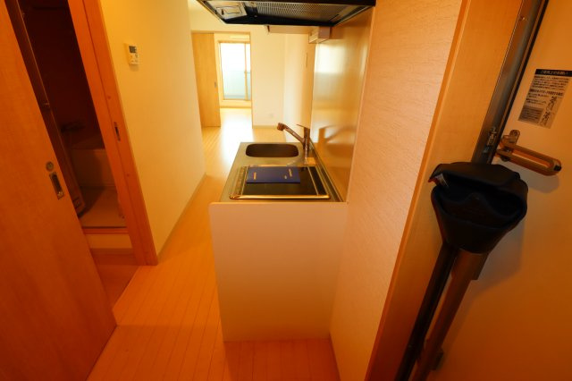 アジュールメゾン十条の内装|玄関から見た室内です。