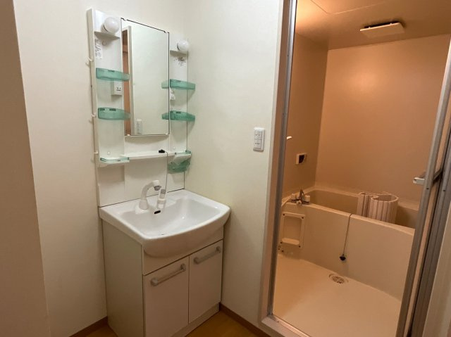 ウィッシュ・ヴィーガの洗面所