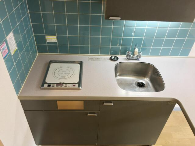 （同タイプ参考写真）