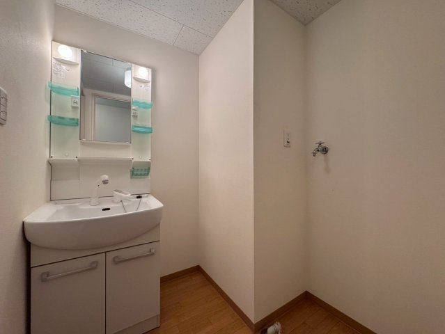 ウィッシュ・ヴィーガの洗面所