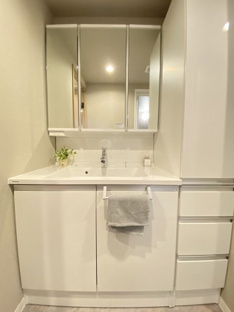 【独立洗面台】モア・ステージ南柏 