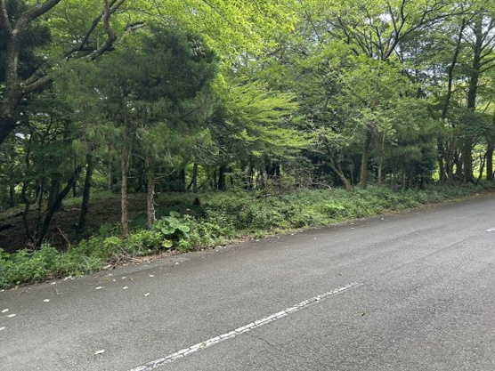 【外観】 | 東急天城高原別荘地　売地