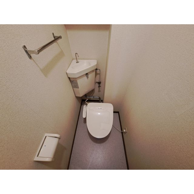 シティハイツブリッジBのトイレ