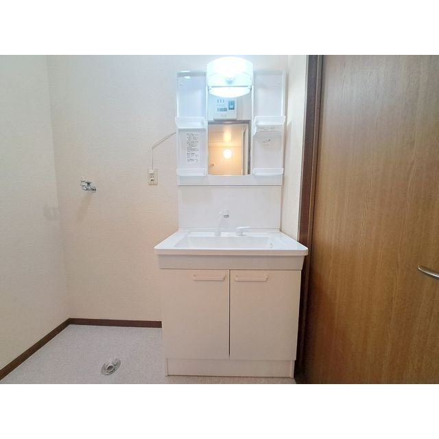 シティハイツブリッジBの洗面所