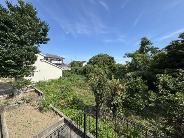 バルカⅡの展望